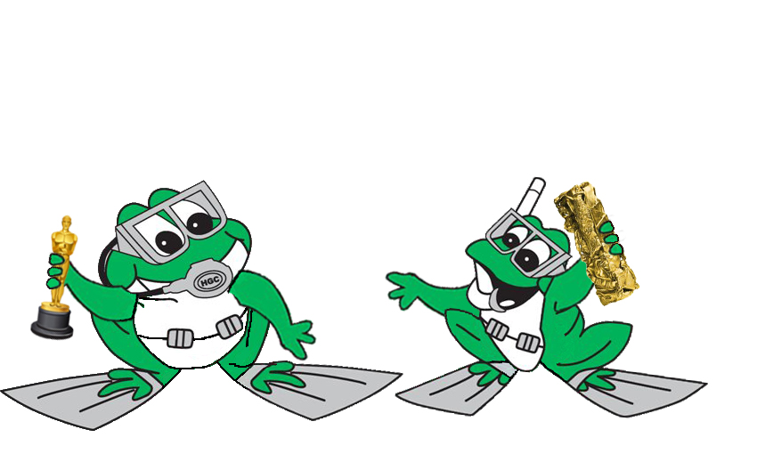 Cycle de vie d'une grenouille - Jeux & Jouets